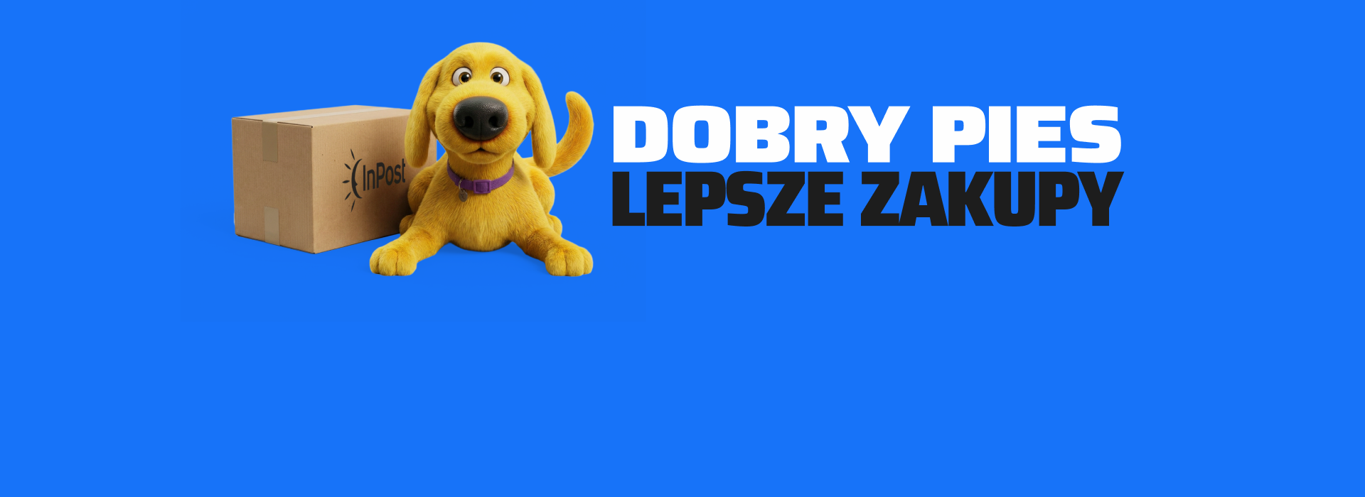 Czy Von Halsky działa za granicą