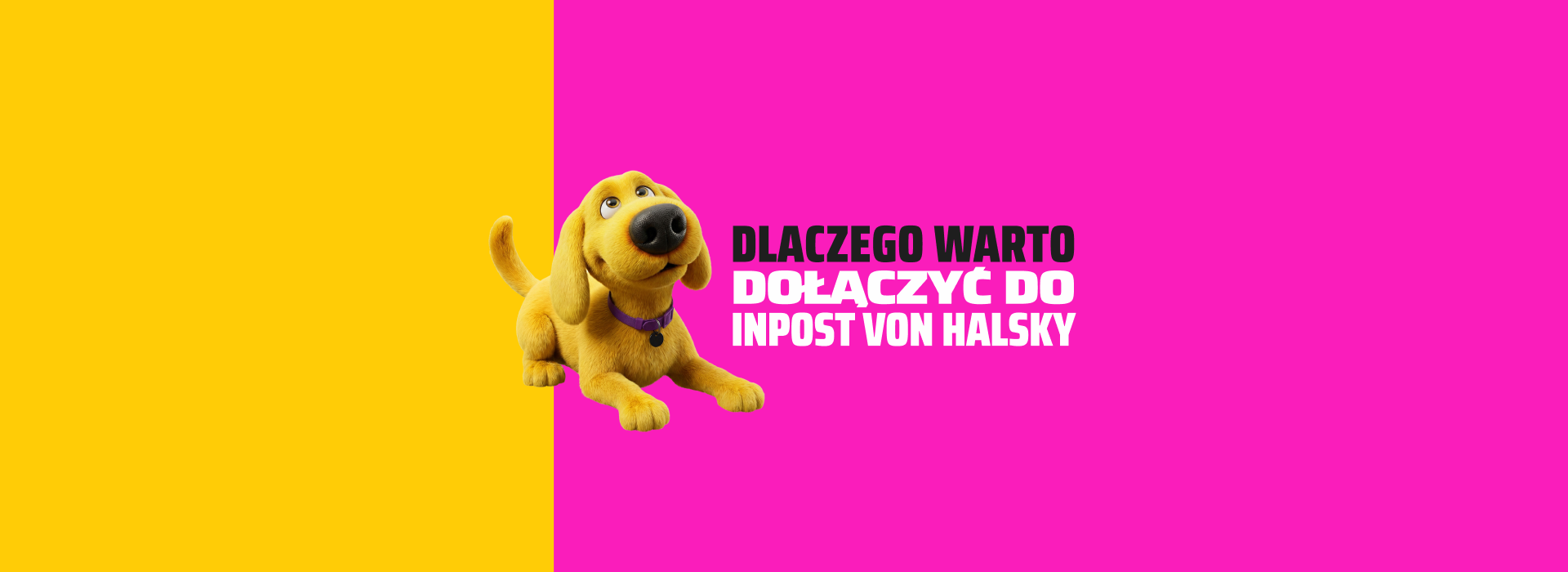 Dlaczego warto dołączyć do InPost Von Halsky?