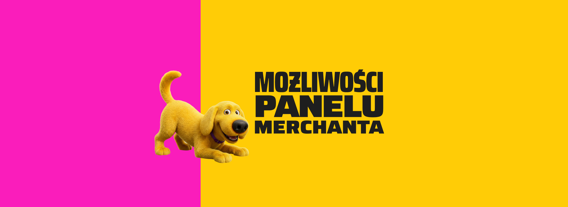 Możliwości Panelu Merchanta