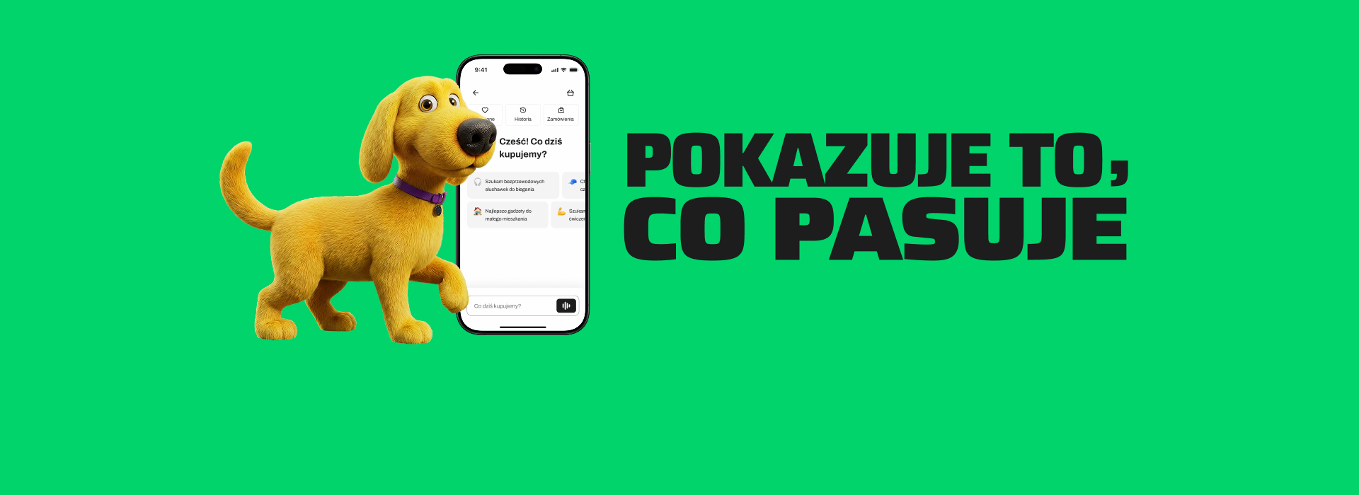 Von Halsky jako doradca zakupowy - co naprawdę potrafi?