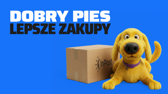 Czy Von Halsky działa za granicą