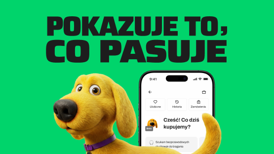 Von Halsky jako doradca zakupowy - co naprawdę potrafi?